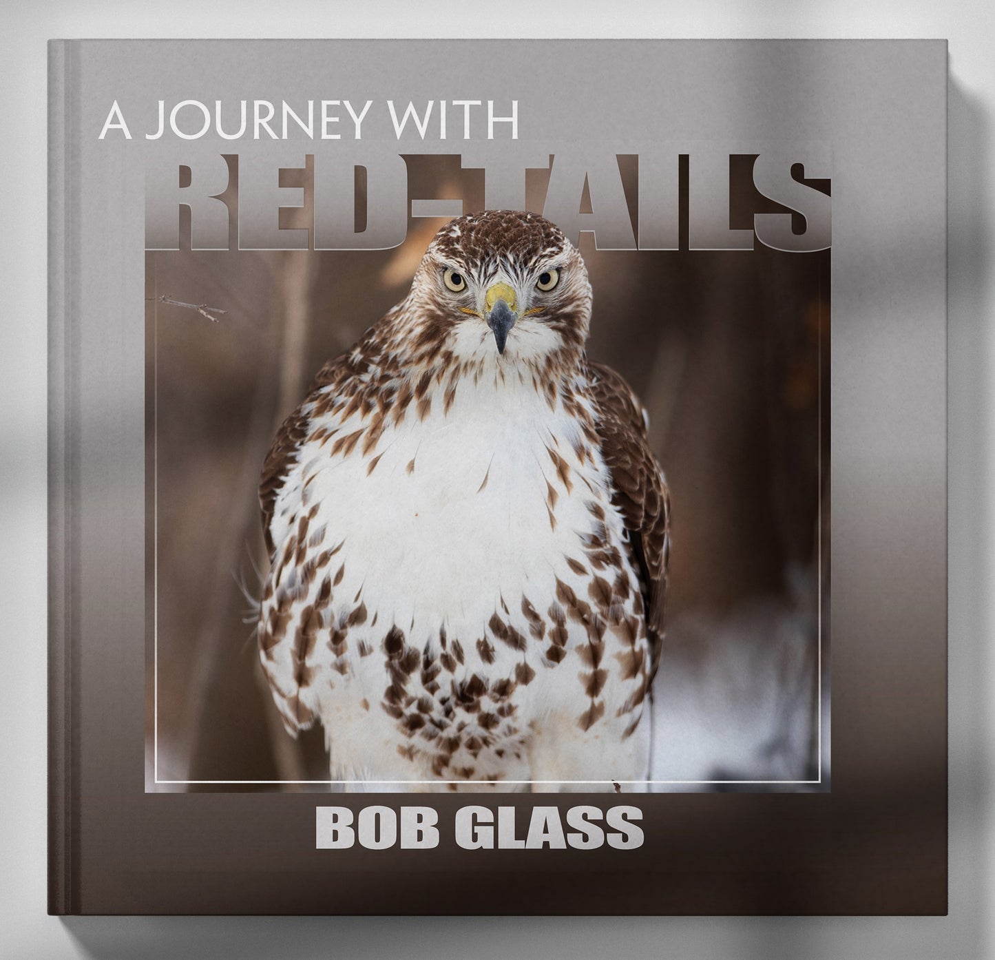 A Journey with Red-tails